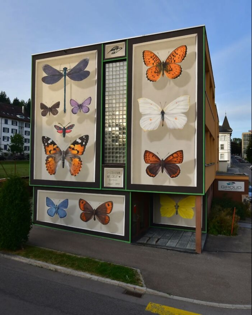 Specimen Boxes: 13 Giant Butterfly Murals Painted By This French Artist Across The World