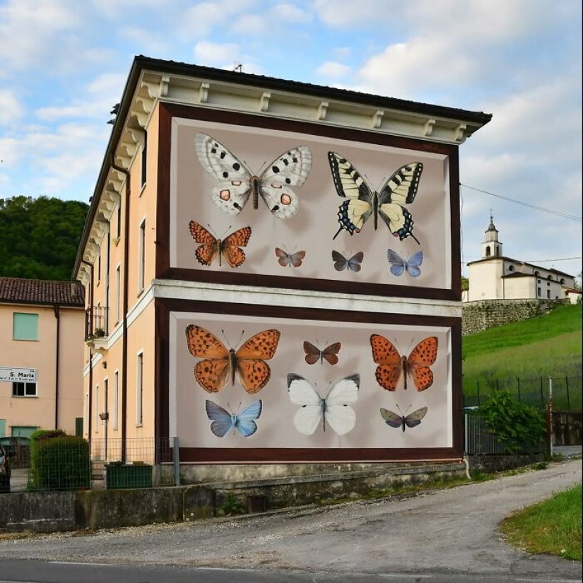 Specimen Boxes: 13 Giant Butterfly Murals Painted By This French Artist Across The World