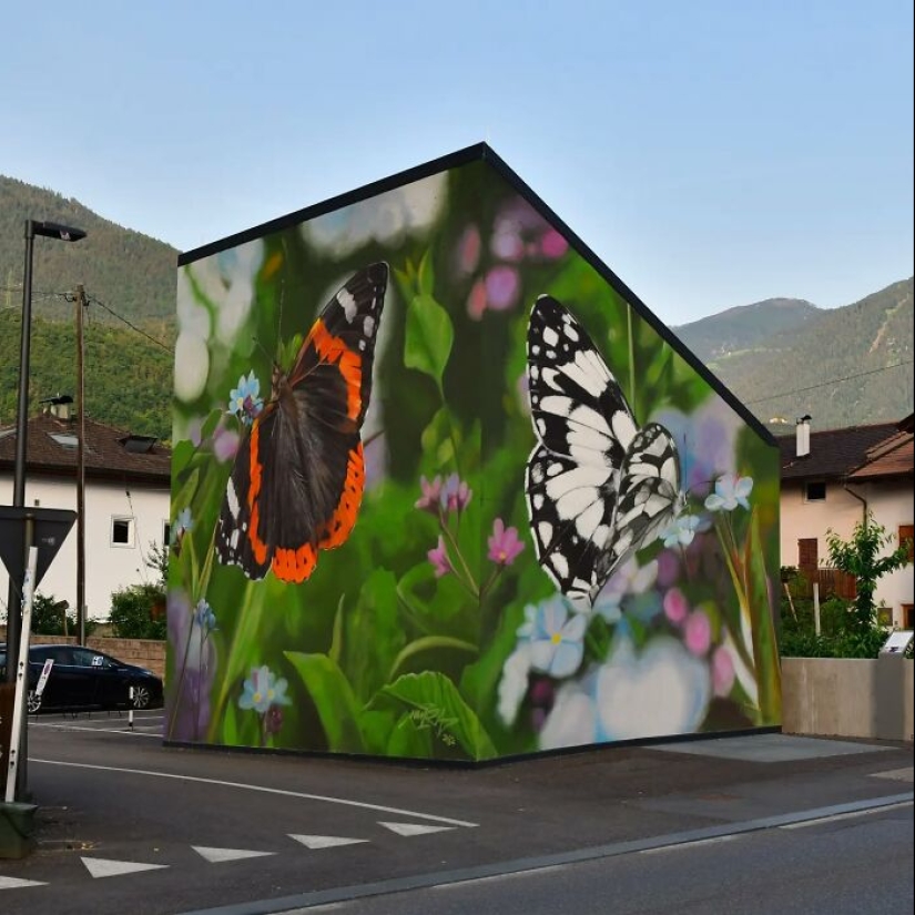 Specimen Boxes: 13 Giant Butterfly Murals Painted By This French Artist Across The World