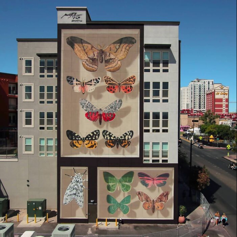Specimen Boxes: 13 Giant Butterfly Murals Painted By This French Artist Across The World