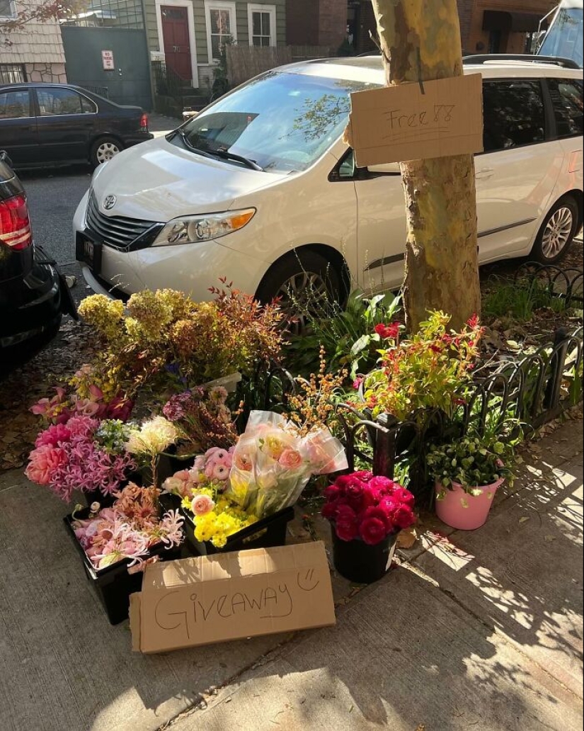 ‘Stooping NYC’: 10 Times People Left Treasures For Others To Find On The Curb