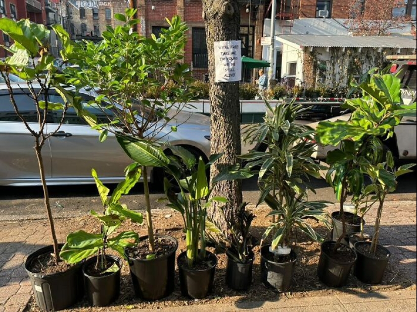 ‘Stooping NYC’: 10 Times People Left Treasures For Others To Find On The Curb