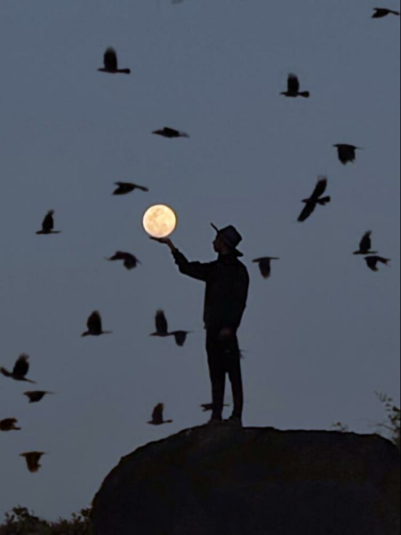 Sunset Stories: 10 Pics Of People’s Silhouettes, Plants And Insects By Aaditya Bhat