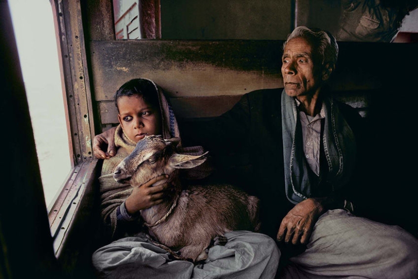 Tú y yo somos de la misma sangre: 35 increíbles fotografías de personas y animales de Steve McCurry Tú y yo somos de la misma sangre: 35 increíbles fotografías de personas y animales de Steve McCurry