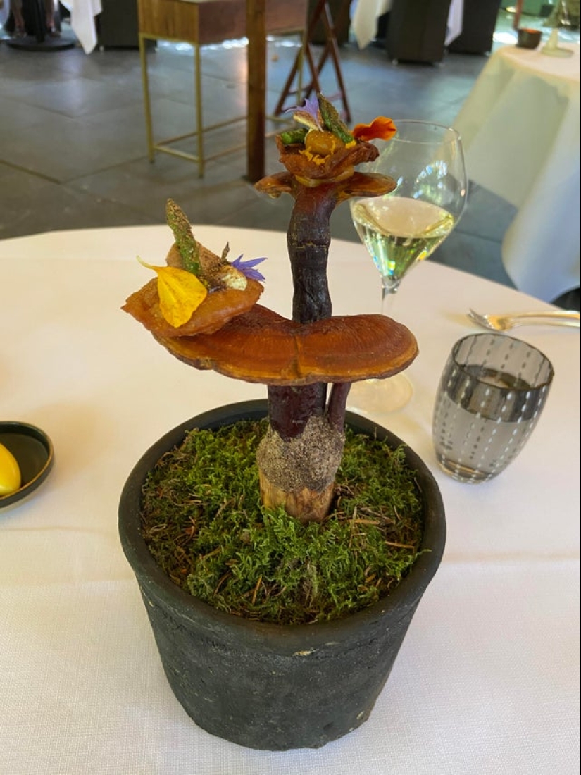 Tapas en la cabeza de Jack Nicholson, rollos en una patineta y 20 ejemplos más de platos extraños