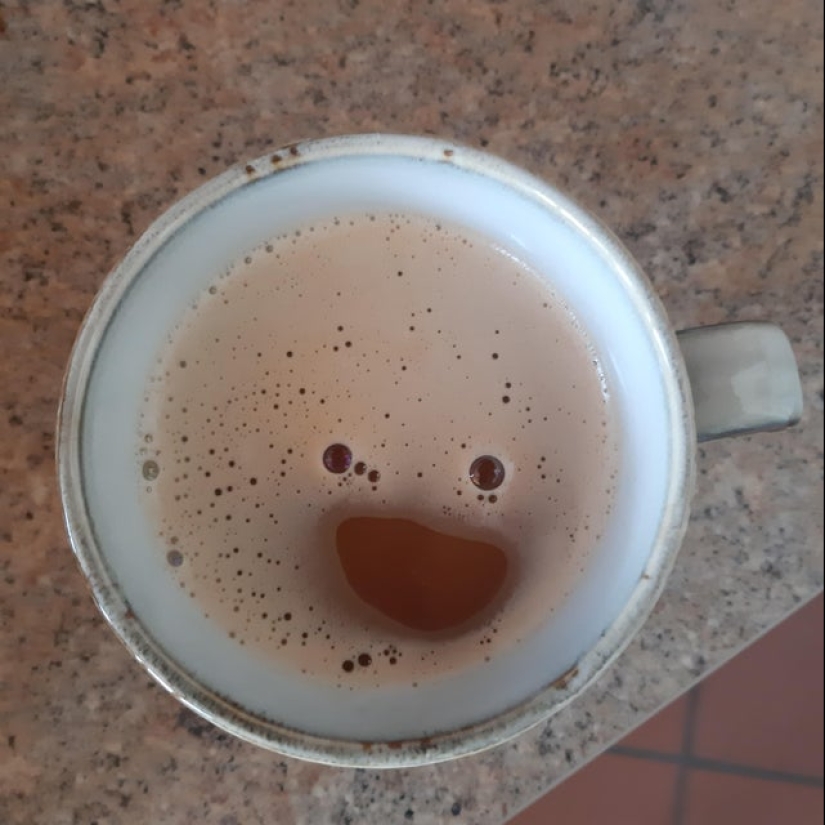 ¿Te pareció? 22 fotos de cosas que se parecen a otras cosas