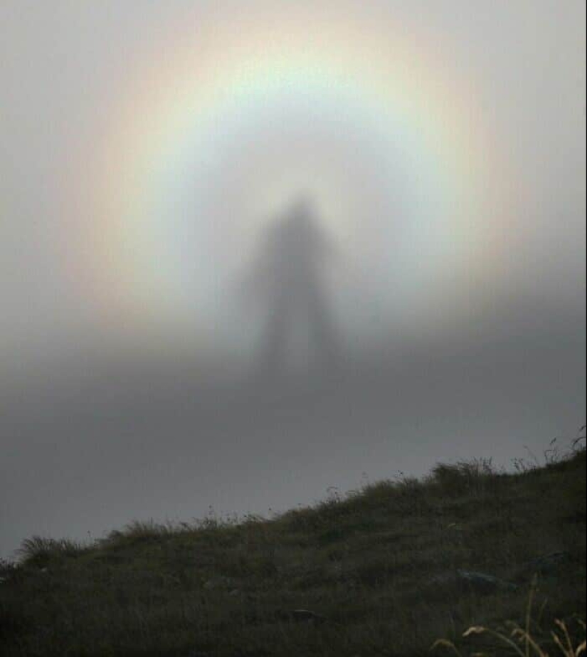 Tendrás que mirar estas fotos dos veces: 35 extrañas ilusiones ópticas con una sombra Tendrás que mirar estas fotos dos veces: 35 extrañas ilusiones ópticas con una sombra