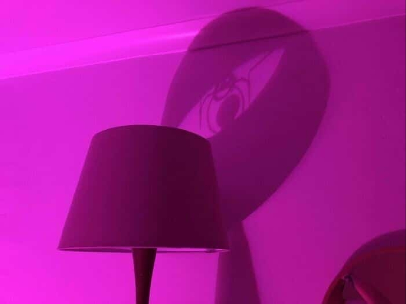 Tendrás que mirar estas fotos dos veces: 35 extrañas ilusiones ópticas con una sombra Tendrás que mirar estas fotos dos veces: 35 extrañas ilusiones ópticas con una sombra