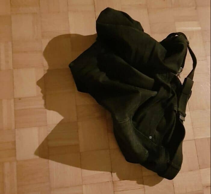 Tendrás que mirar estas fotos dos veces: 35 extrañas ilusiones ópticas con una sombra Tendrás que mirar estas fotos dos veces: 35 extrañas ilusiones ópticas con una sombra