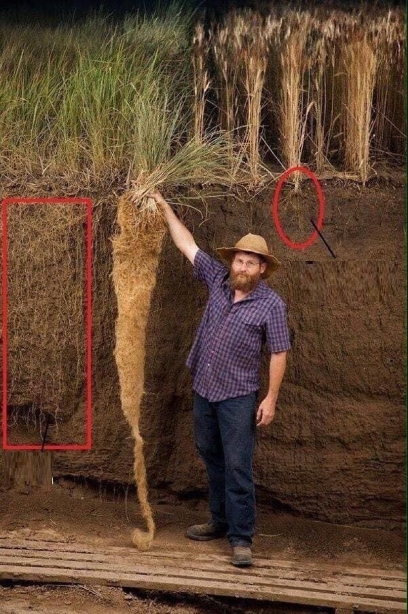 That's the size! 22 photos of incredibly huge things That's the size! 22 photos of incredibly huge things