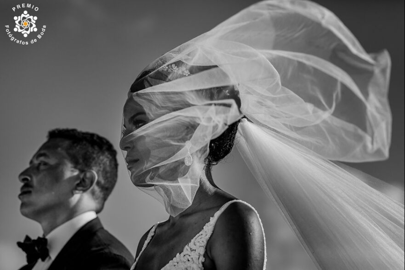 The 12 Most Incredible Wedding Photos Of 2024 Selected By Premios FdB