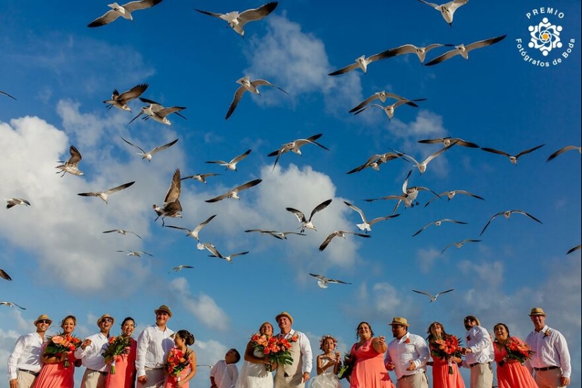 The 12 Most Incredible Wedding Photos Of 2024 Selected By Premios FdB