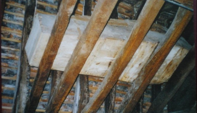 The Coffin in the Attic: The Incredible Story of Henry Trigg and His Adventures After Death The Coffin in the Attic: The Incredible Story of Henry Trigg and His Adventures After Death