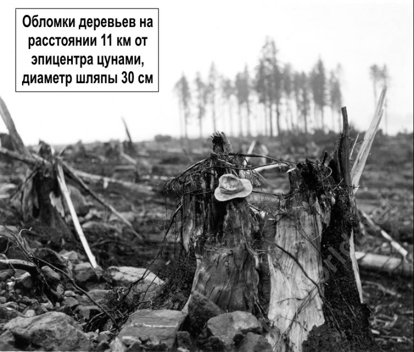 The highest tsunami wave in history