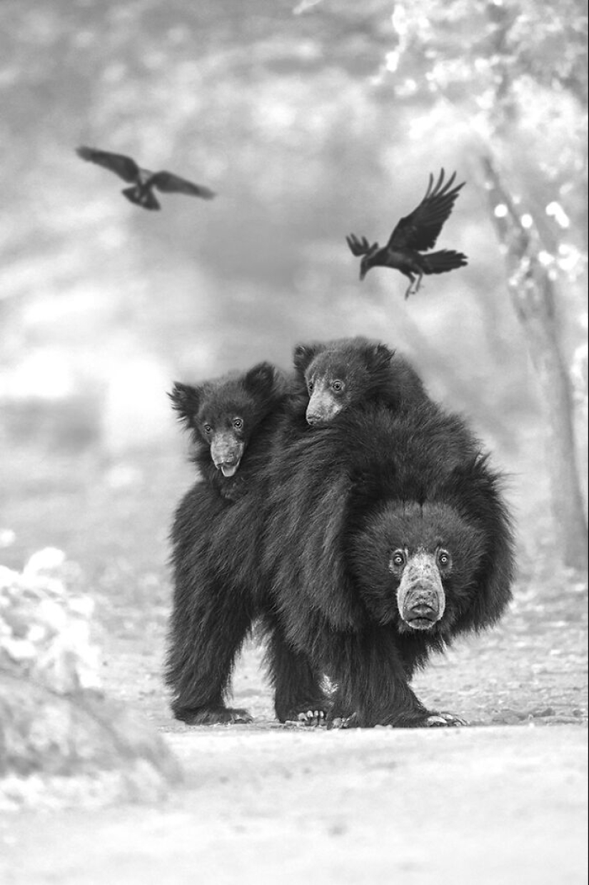 The Monochrome Photography Awards Have Announced The Winners Of 2023