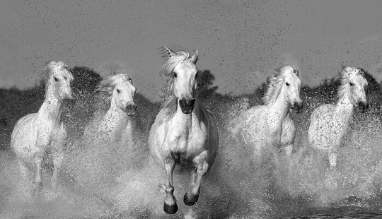 The Monochrome Photography Awards Have Announced The Winners Of 2023