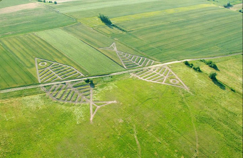 The most unusual borders that showcase policy