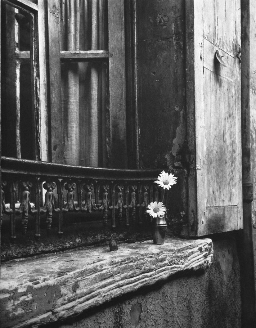 The photographer Izis Bidermanas: "This is not Paris and not old, but just my" The photographer Izis Bidermanas: "This is not Paris and not old, but just my"