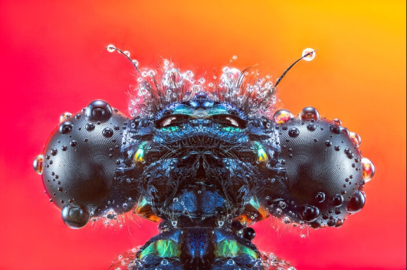 The Power Of Photography: 17 Winning Images Announced By The 1839 Awards 2024