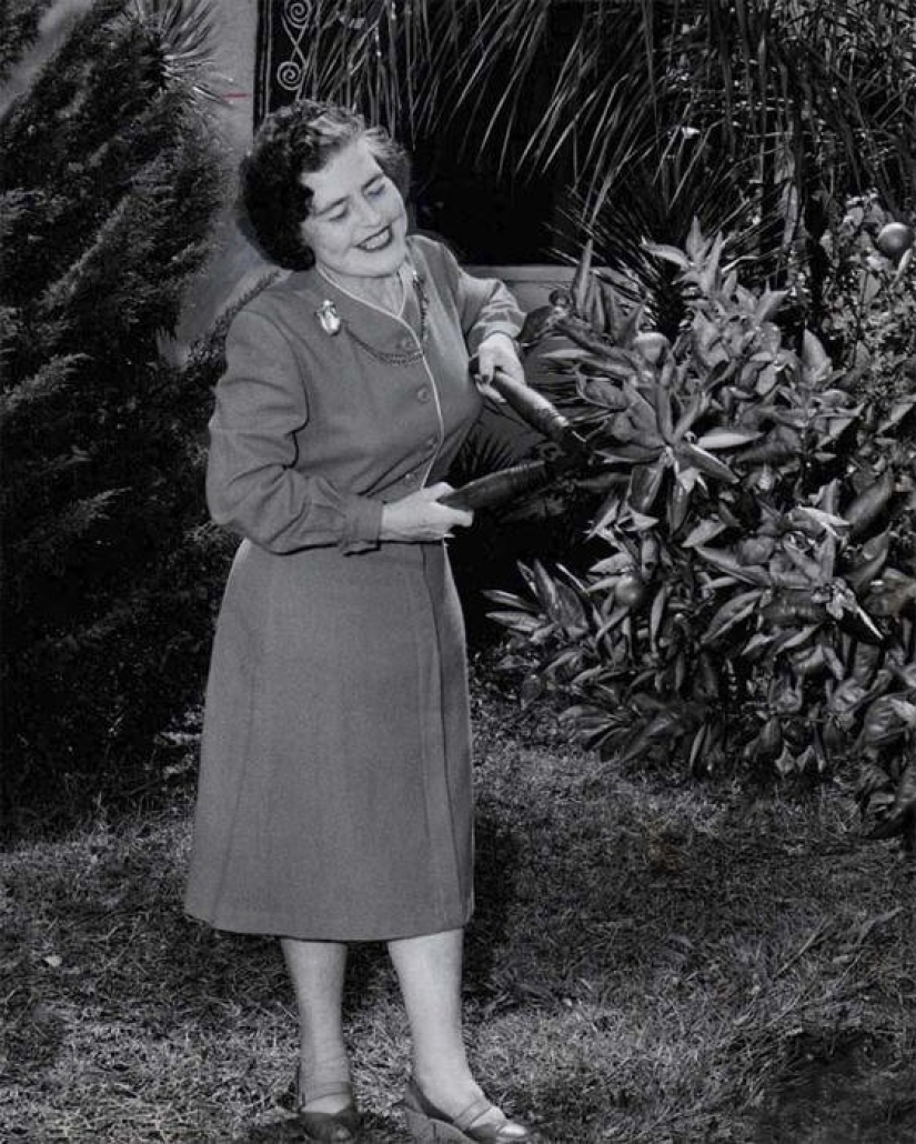 The story of strong-willed circus performer Dolly Dimples, who became famous first for gaining weight and then for losing it