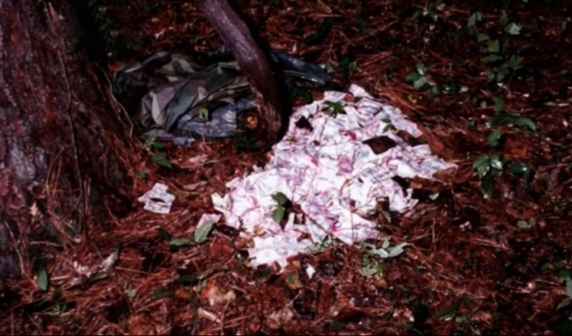 The story of the Gainesville Ripper, based on which the film "Scream" was made The story of the Gainesville Ripper, based on which the film "Scream" was made