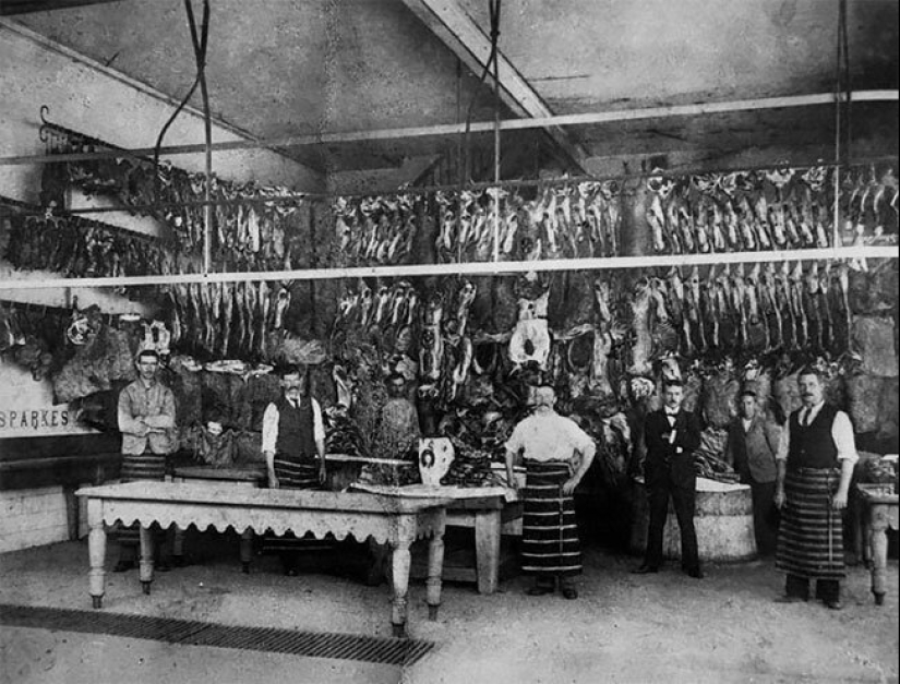 The time of fridges: a butcher's shop in Victorian England The time of fridges: a butcher's shop in Victorian England