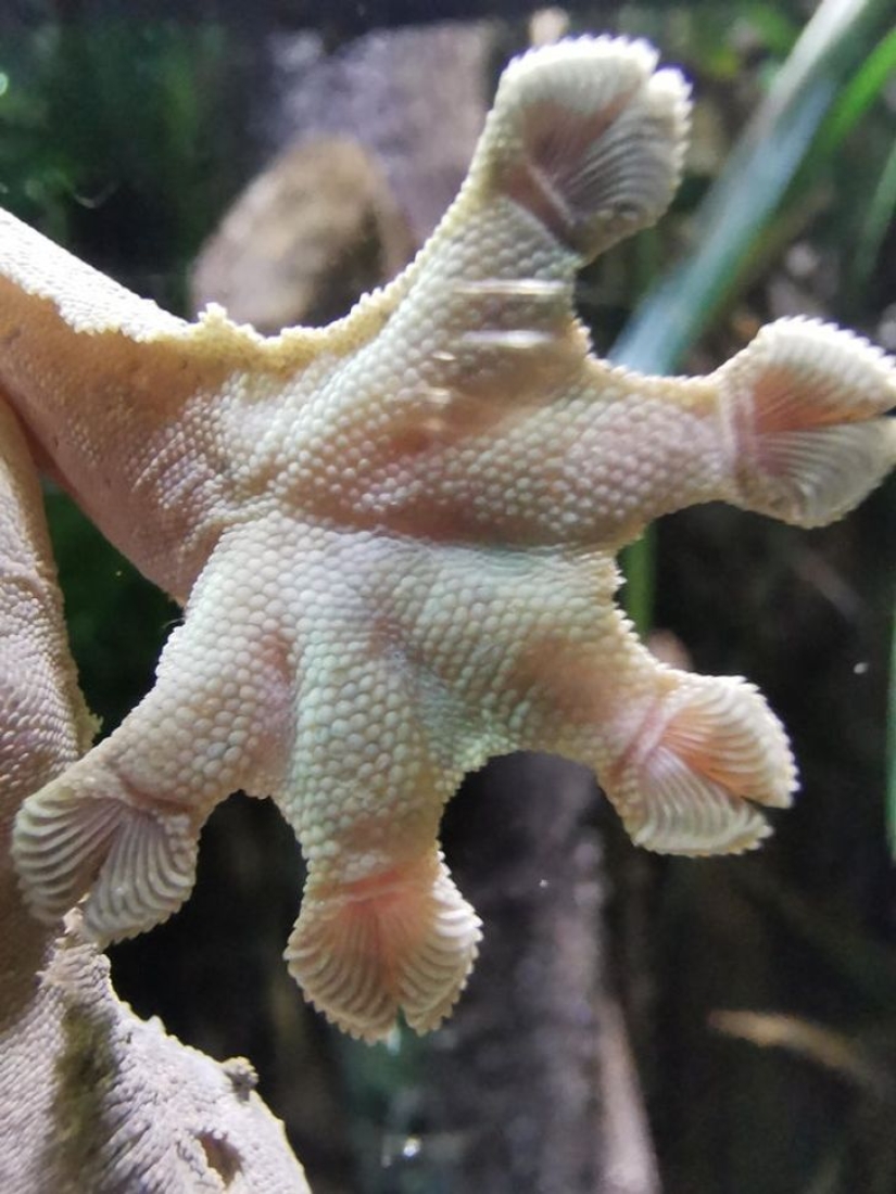 The world is still able to surprise us: 22 photos that won't leave you indifferent