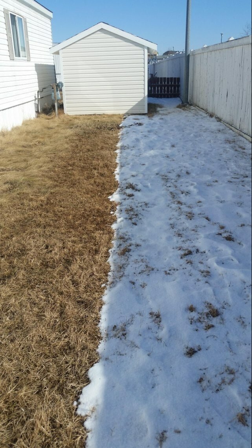 Then and now: 25 photos of comparisons, which will force us to look differently at familiar things Then and now: 25 photos of comparisons, which will force us to look differently at familiar things