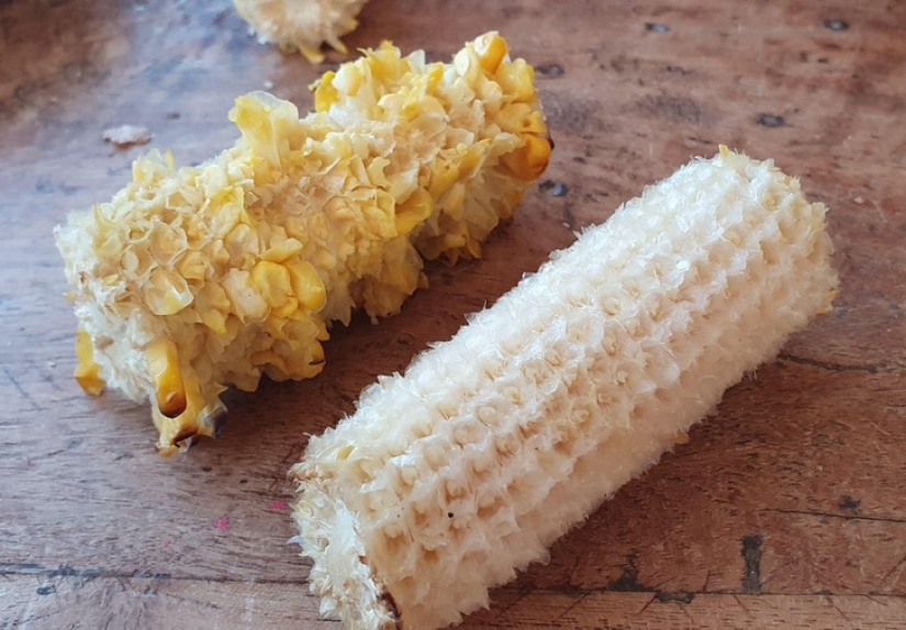 There are only 2 types of girls in the world, and here are 15 proofs