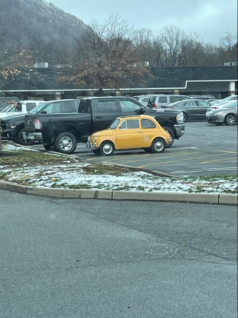 There are only 2 types of girls in the world, and here are 15 proofs