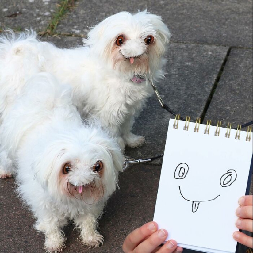 ‘Things I have drawn’: 13 Times Dad Used Photoshop To Bring Children’s Art To Life ‘Things I have drawn’: 13 Times Dad Used Photoshop To Bring Children’s Art To Life