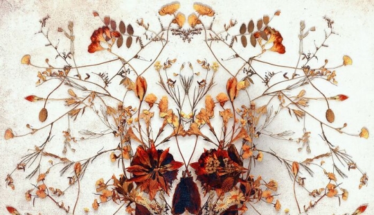 This Artist Brings A Fresh, Modern Twist To The Timeless Skull Symbol