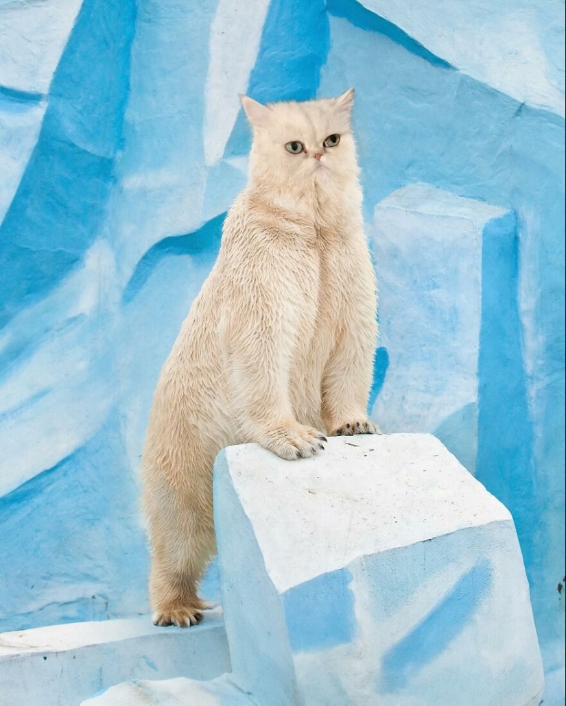 This Artist Creates Animals That Don’t Exist By Fusing Two Together