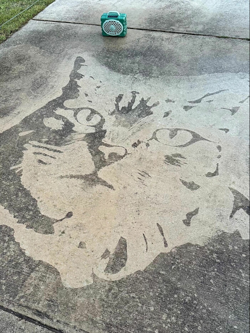 This Guy Used A Pressure Washer To Create Art On The Street, And Here Are His 13 Best Works