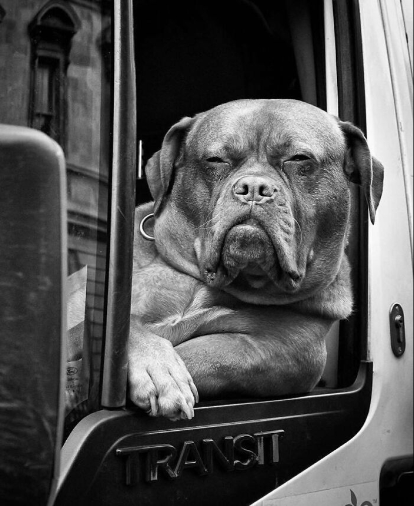 This Instagram Account Featured 15 New Amusing Street Photos