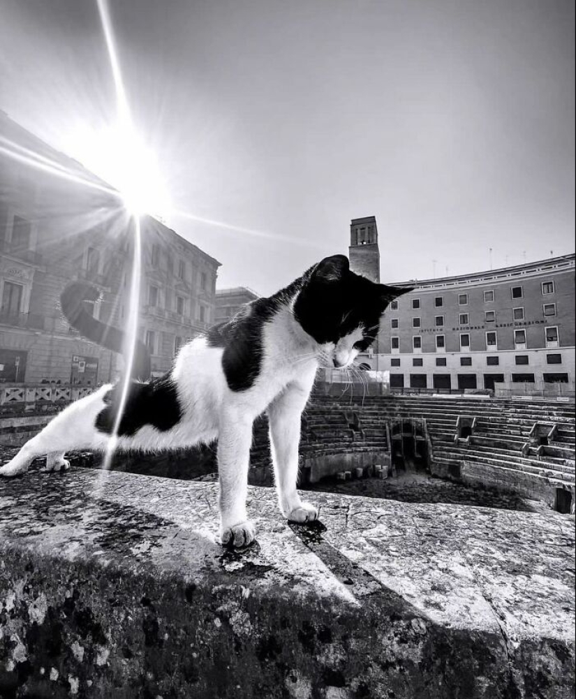 This Instagram Account Featured 15 New Amusing Street Photos