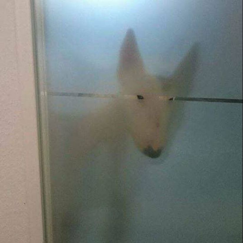 This Instagram Page Shares The Most Cursed Pics And Memes, And Here Are The 10 Spiciest Ones This Instagram Page Shares The Most Cursed Pics And Memes, And Here Are The 10 Spiciest Ones