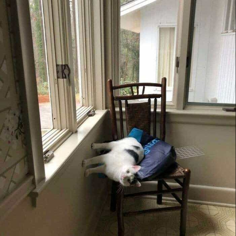 This Instagram Page Shares The Most Cursed Pics And Memes, And Here Are The 10 Spiciest Ones This Instagram Page Shares The Most Cursed Pics And Memes, And Here Are The 10 Spiciest Ones