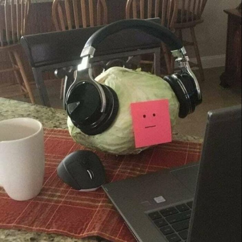 This Instagram Page Shares The Most Cursed Pics And Memes, And Here Are The 10 Spiciest Ones This Instagram Page Shares The Most Cursed Pics And Memes, And Here Are The 10 Spiciest Ones