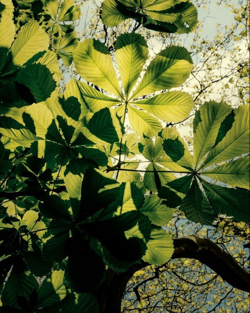 This Photographer Captured 15 Magical Moments, Revealing The Beauty In Everyday Objects This Photographer Captured 15 Magical Moments, Revealing The Beauty In Everyday Objects