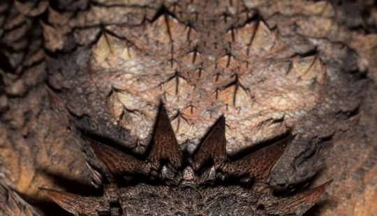 This Photographer Captured 15 Magical Moments, Revealing The Beauty In Everyday Objects This Photographer Captured 15 Magical Moments, Revealing The Beauty In Everyday Objects