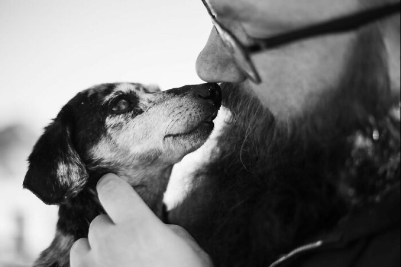 This Photographer Captures People With Their Pets Before They Cross The “Rainbow Bridge” This Photographer Captures People With Their Pets Before They Cross The “Rainbow Bridge”