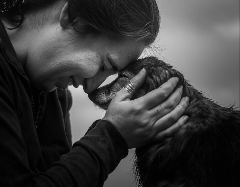 This Photographer Captures People With Their Pets Before They Cross The “Rainbow Bridge” This Photographer Captures People With Their Pets Before They Cross The “Rainbow Bridge”