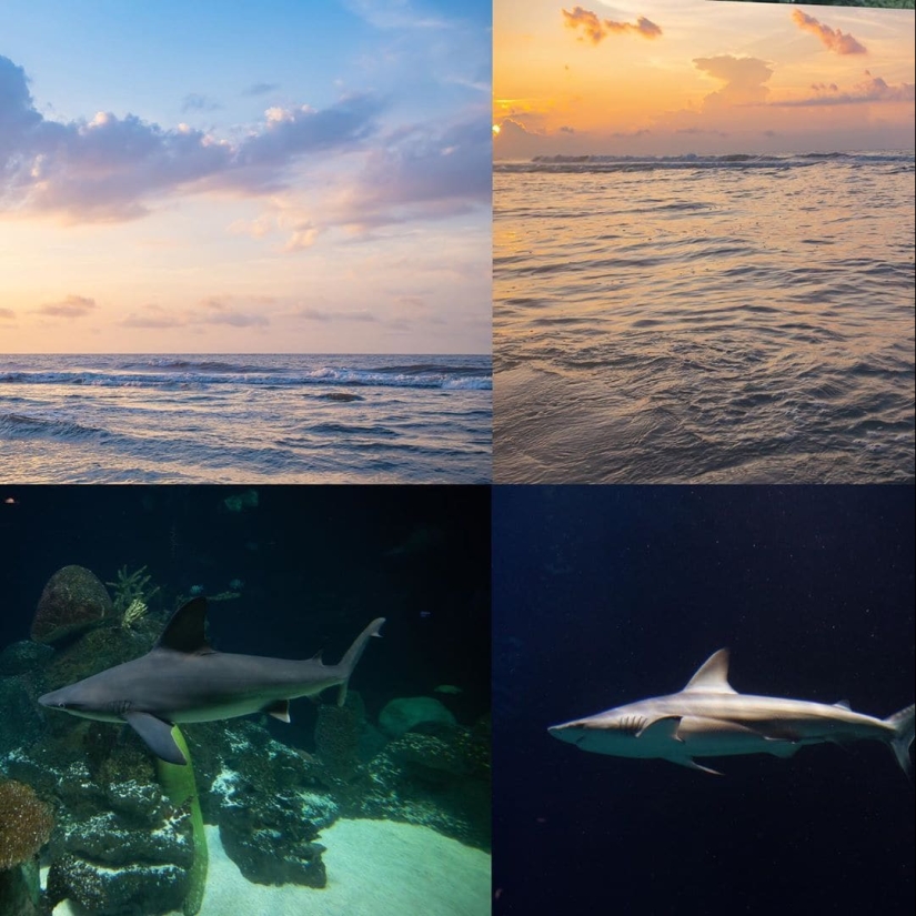 Todo el poder de photoshop: un fotógrafo muestra cómo nacen sus obras maestras digitales