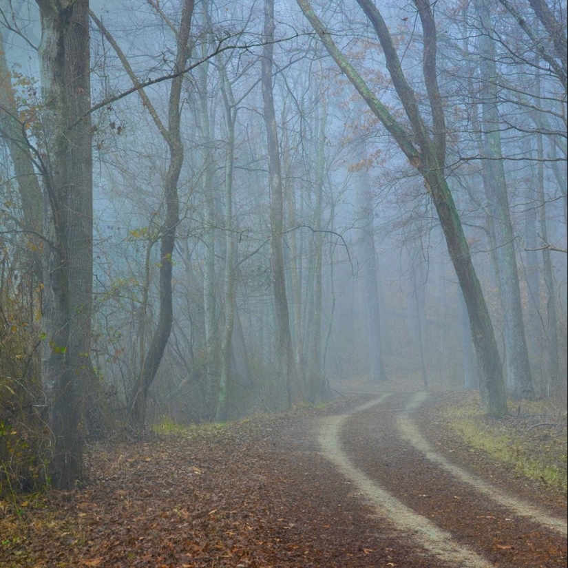 Todo el poder de photoshop: un fotógrafo muestra cómo nacen sus obras maestras digitales
