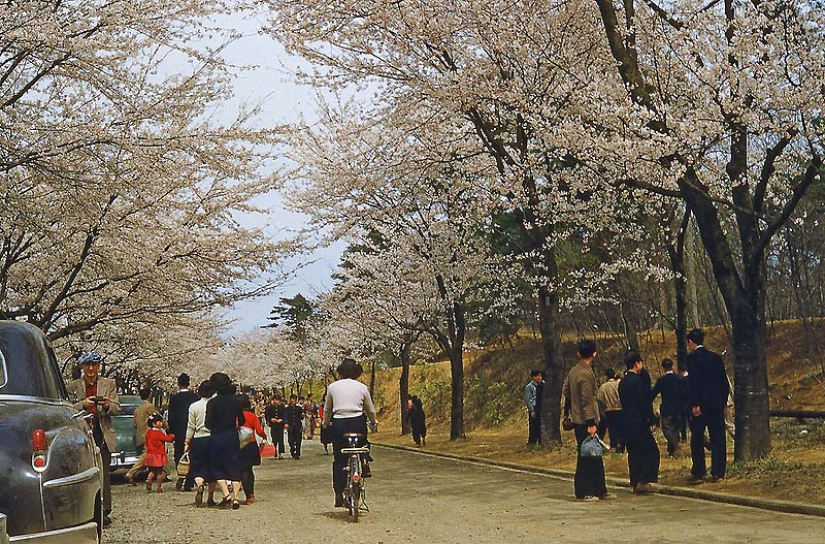 Tokio de la década de 1950 en imágenes en color Tokio de la década de 1950 en imágenes en color