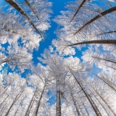 Tokyo International Foto Awards 2023: capturando la diversa belleza de la naturaleza en 15 imágenes ganadoras