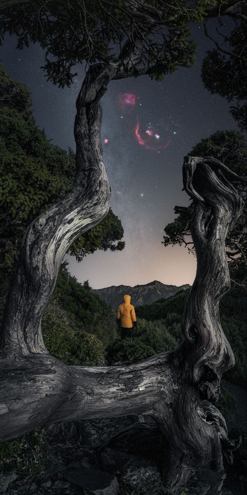 Tokyo International Photo Awards 2023: Capturing The Diverse Beauty Of Nature In 15 Winning Images