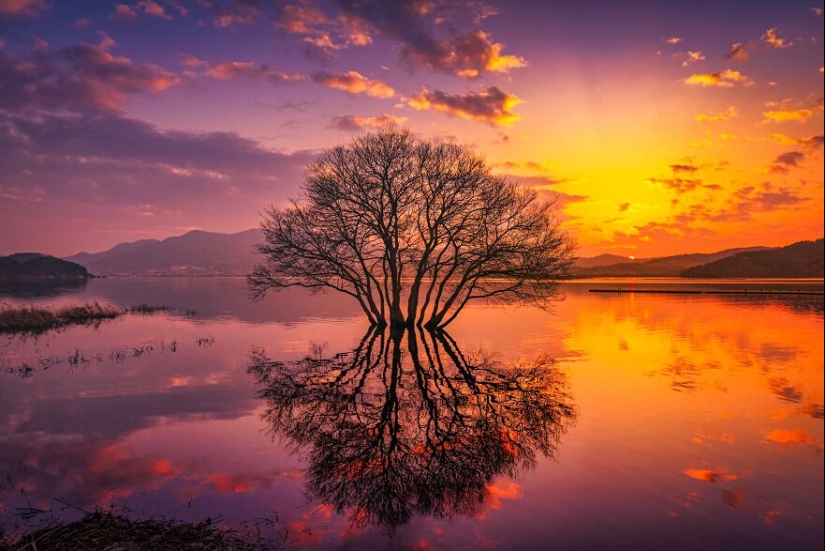 Tokyo International Photo Awards 2023: Capturing The Diverse Beauty Of Nature In 15 Winning Images