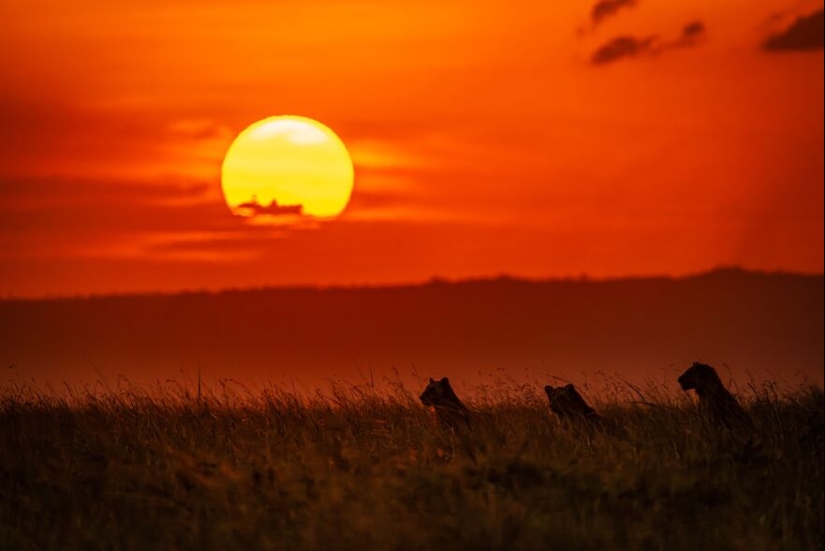 Tokyo International Photo Awards 2023: Capturing The Diverse Beauty Of Nature In 15 Winning Images
